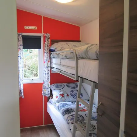 Bed And Owls Nest