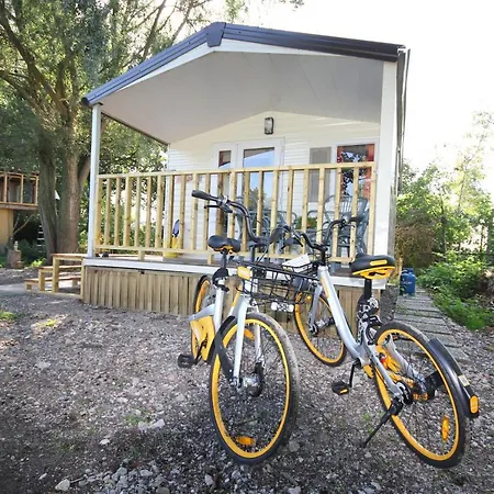 Bed And Owls Nest Bed & Breakfast Amsterdam